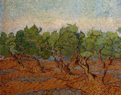 Olive Grove by Vincent van Gogh